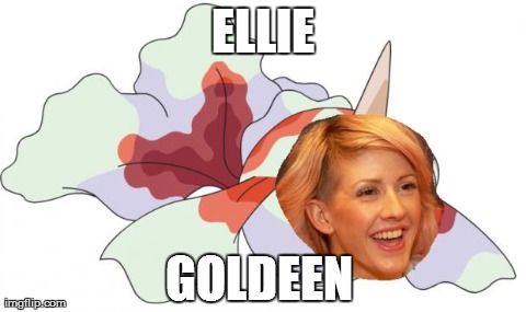 ELLIE GOLDEEN | made w/ Imgflip meme maker