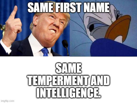 SAME FIRST NAME SAME TEMPERMENT AND INTELLIGENCE. | made w/ Imgflip meme maker