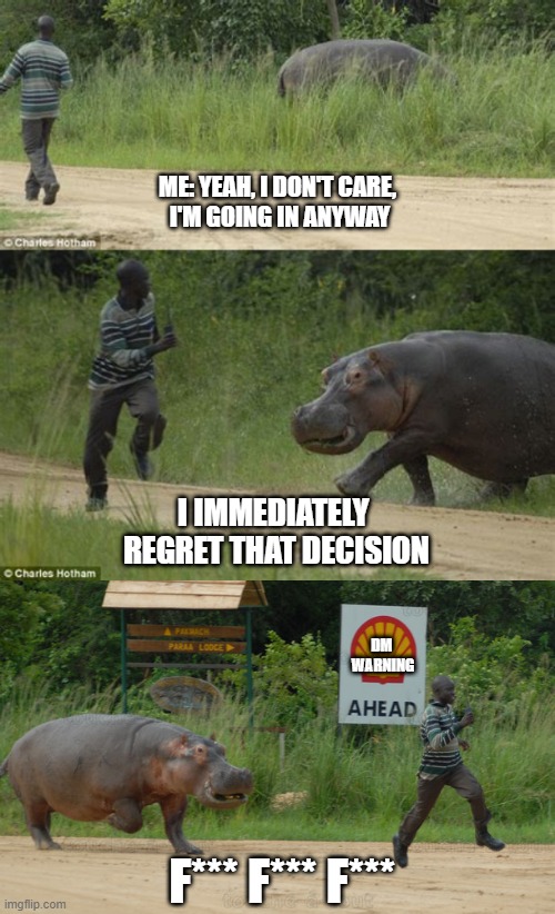 Ignoring Obvious Warnings - D&D - Man vs Hippo | ME: YEAH, I DON'T CARE,
 I'M GOING IN ANYWAY; I IMMEDIATELY 
REGRET THAT DECISION; DM 
WARNING; F*** F*** F*** | image tagged in hippo,running away | made w/ Imgflip meme maker