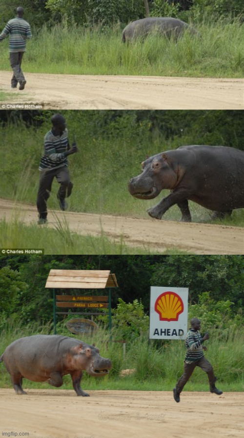 High Quality Man Running From Hippo - 3 Frames Blank Meme Template