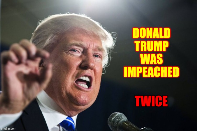 T. W. I. C. E. | DONALD TRUMP WAS IMPEACHED; TWICE | image tagged in donald trump,memes,fugly,trump impeachment,biggest loser,lock him up | made w/ Imgflip meme maker