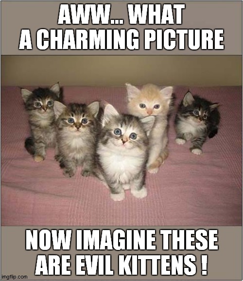 A Question Of Perception ? | AWW... WHAT A CHARMING PICTURE; NOW IMAGINE THESE ARE EVIL KITTENS ! | image tagged in cats,perception,charming,evil | made w/ Imgflip meme maker