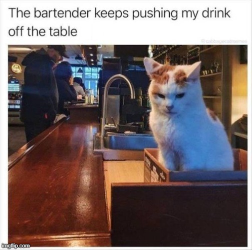 OOO | image tagged in cats | made w/ Imgflip meme maker