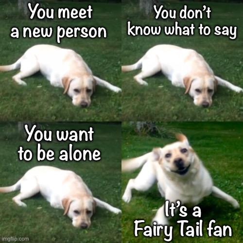 Fairy Tail fan |  You meet a new person; You don’t know what to say; You want to be alone; It’s a Fairy Tail fan | image tagged in dog do nothing dog rushing,fairy tail,fairy tail meme,anime meme,memes,dogs | made w/ Imgflip meme maker