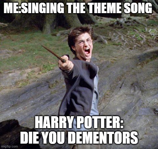 Harry potter |  ME:SINGING THE THEME SONG; HARRY POTTER: DIE YOU DEMENTORS | image tagged in harry potter | made w/ Imgflip meme maker