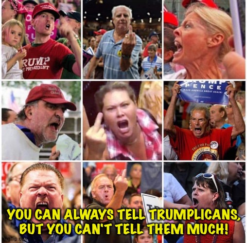 Triggered Trump supporters | YOU CAN ALWAYS TELL TRUMPLICANS,
BUT YOU CAN'T TELL THEM MUCH! | image tagged in triggered trump supporters | made w/ Imgflip meme maker