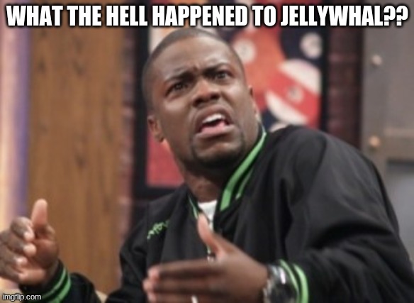 What the hell is happening | WHAT THE HELL HAPPENED TO JELLYWHAL?? | image tagged in what the hell is happening | made w/ Imgflip meme maker
