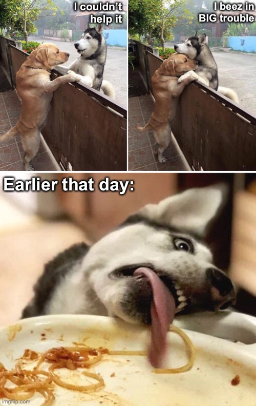 Eddy Spaghetti | I couldn’t
help it; I beez in
BIG trouble; Earlier that day: | image tagged in funny memes,funny dog memes | made w/ Imgflip meme maker