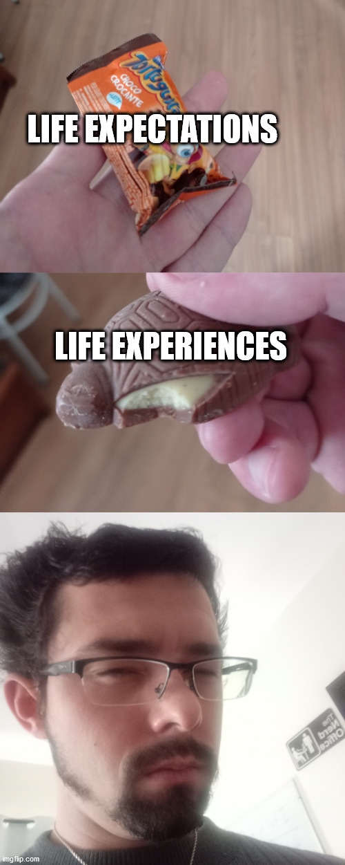 Unreliable Tortuguita | LIFE EXPECTATIONS; LIFE EXPERIENCES | image tagged in memes | made w/ Imgflip meme maker