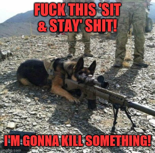 Military working dogs may have been left behind in Afghanistan too. | FUCK THIS 'SIT & STAY' SHIT! I'M GONNA KILL SOMETHING! | image tagged in military dog with gun tripod,joe biden,afghanistan | made w/ Imgflip meme maker