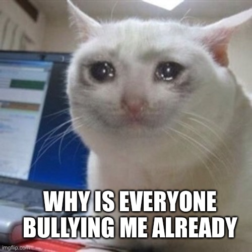 Crying cat | WHY IS EVERYONE BULLYING ME ALREADY | image tagged in crying cat | made w/ Imgflip meme maker