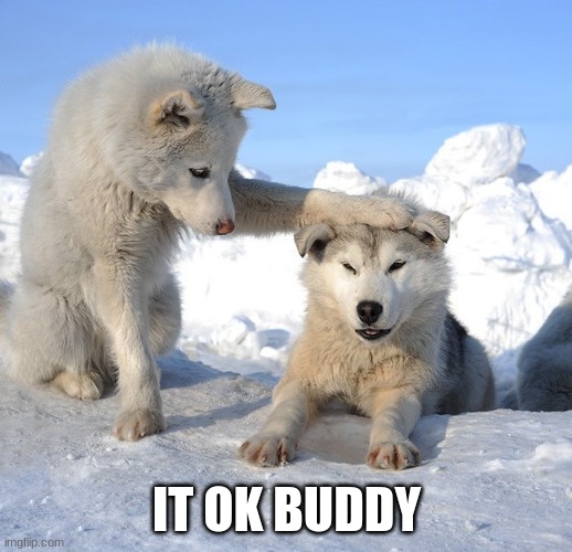 It's OK | IT OK BUDDY | image tagged in it's ok | made w/ Imgflip meme maker