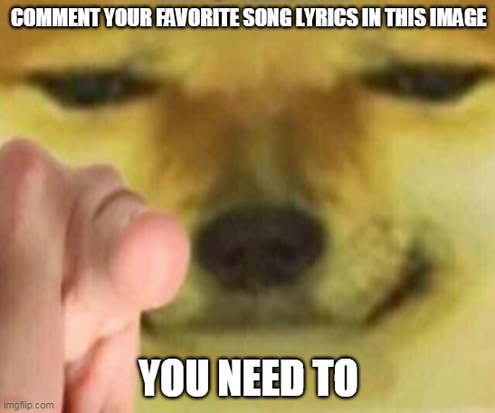 Cheems Pointing At You | COMMENT YOUR FAVORITE SONG LYRICS IN THIS IMAGE; YOU NEED TO | image tagged in cheems pointing at you,music | made w/ Imgflip meme maker