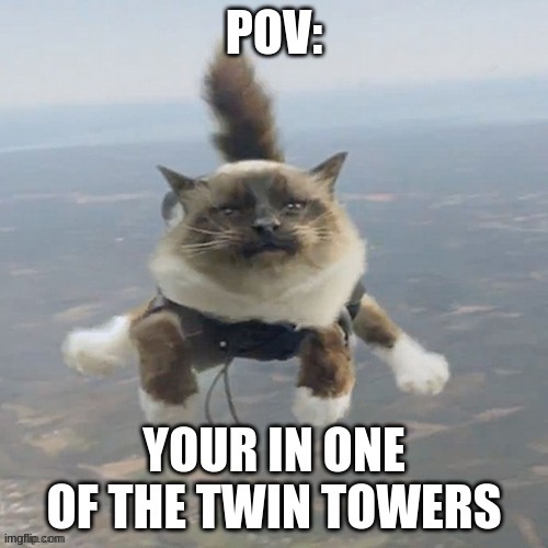 9/11 | image tagged in cats,9/11 | made w/ Imgflip meme maker