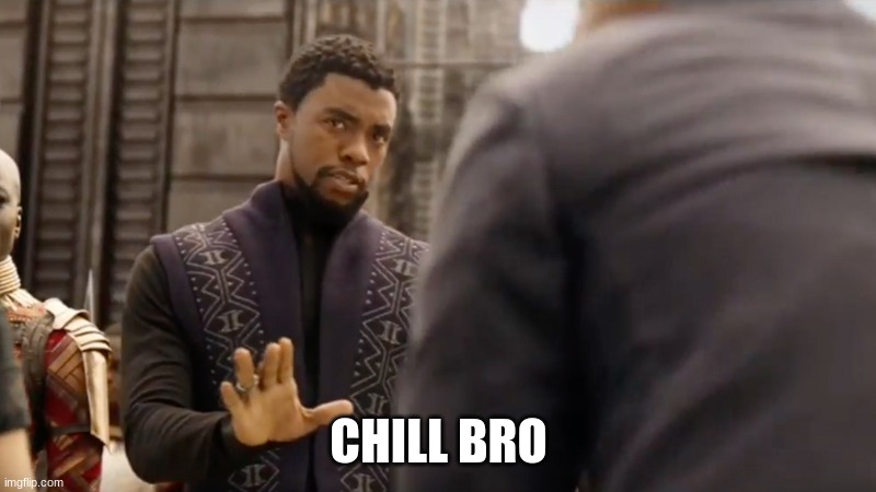 black panther | CHILL BRO | image tagged in black panther | made w/ Imgflip meme maker