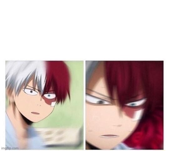 Todoroki | image tagged in todoroki | made w/ Imgflip meme maker