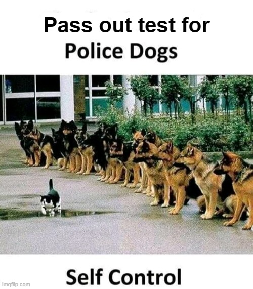 Police Dog Pass Out ! | Pass out test for | image tagged in finals week | made w/ Imgflip meme maker