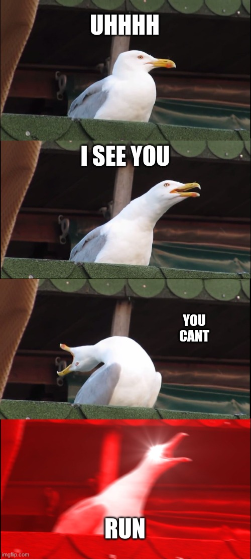 UHHHH I SEE YOU YOU 
CANT RUN | image tagged in memes,inhaling seagull | made w/ Imgflip meme maker