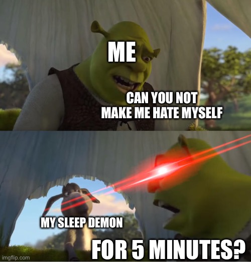 Najajiaia | ME; CAN YOU NOT MAKE ME HATE MYSELF; MY SLEEP DEMON; FOR 5 MINUTES? | image tagged in shrek for five minutes | made w/ Imgflip meme maker