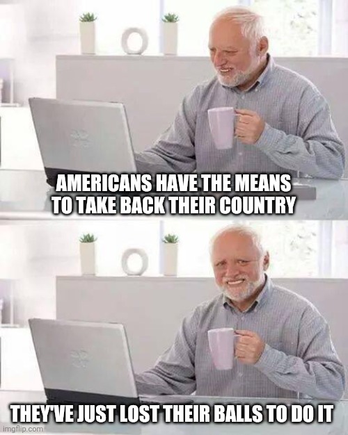 The world is waiting | AMERICANS HAVE THE MEANS TO TAKE BACK THEIR COUNTRY; THEY'VE JUST LOST THEIR BALLS TO DO IT | image tagged in memes,hide the pain harold,patriots,americans,corruption,fight | made w/ Imgflip meme maker