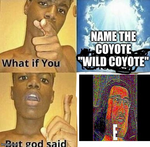 Warner Bros. be like | NAME THE COYOTE "WILD COYOTE" | image tagged in what if you wanted to go to heaven | made w/ Imgflip meme maker