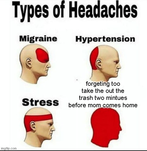 Types of Headaches meme | forgeting too take the out the trash two mintues before mom comes home | image tagged in types of headaches meme | made w/ Imgflip meme maker