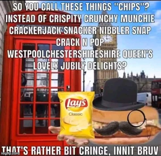 so you call these things chips? | image tagged in so you call these things chips | made w/ Imgflip meme maker