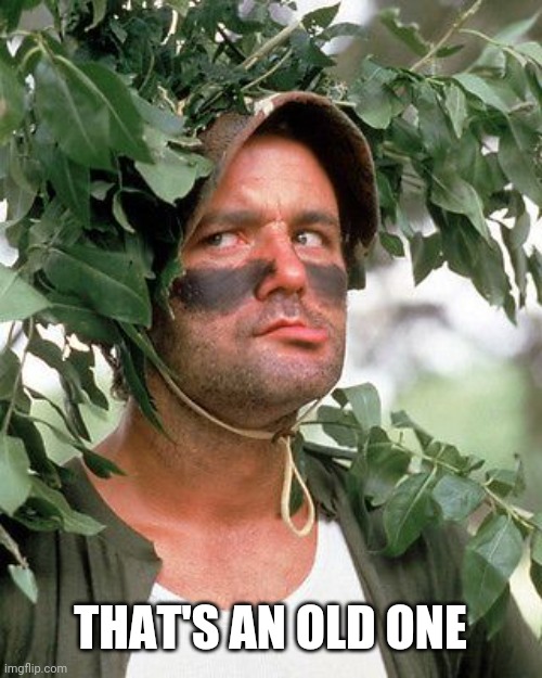 Bill Murray camouflaged | THAT'S AN OLD ONE | image tagged in bill murray camouflaged | made w/ Imgflip meme maker