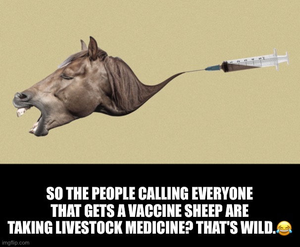 Use of ivermectin to treat COVID increasing in the US. | SO THE PEOPLE CALLING EVERYONE THAT GETS A VACCINE SHEEP ARE TAKING LIVESTOCK MEDICINE? THAT'S WILD.😂 | image tagged in morons,republicans,basket of deplorables,covid-19,politics lol,horse dewormer | made w/ Imgflip meme maker