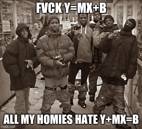 All My Homies Hate | FVCK Y=MX+B; ALL MY HOMIES HATE Y+MX=B | image tagged in all my homies hate | made w/ Imgflip meme maker