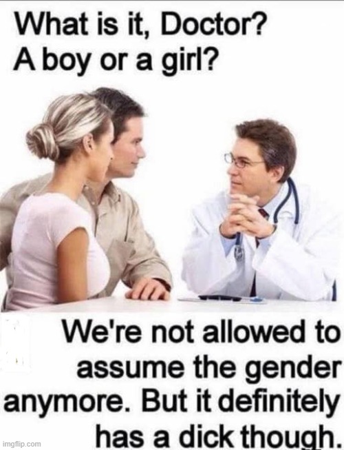 Gender ? | image tagged in dick | made w/ Imgflip meme maker