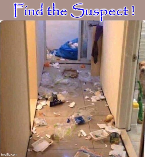 Find the Suspect ! | Find the Suspect ! | image tagged in they're the same picture | made w/ Imgflip meme maker