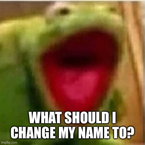 Kakoa | WHAT SHOULD I CHANGE MY NAME TO? | image tagged in ahhhhhhhhhhhhh | made w/ Imgflip meme maker