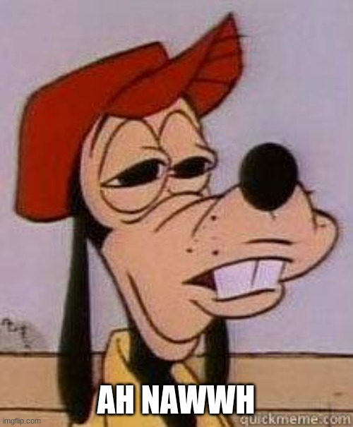 Stoned goofy | AH NAWWH | image tagged in stoned goofy | made w/ Imgflip meme maker