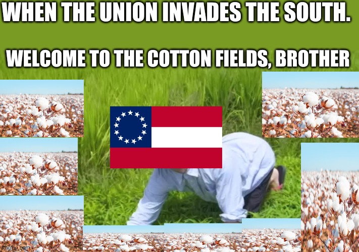 Welcome to the Cotton fields, brother. |  WHEN THE UNION INVADES THE SOUTH. WELCOME TO THE COTTON FIELDS, BROTHER | image tagged in welcome to the rice fields | made w/ Imgflip meme maker