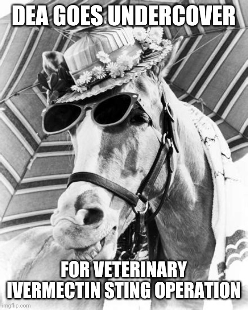 MISTER ED DRUG BUST | DEA GOES UNDERCOVER; FOR VETERINARY IVERMECTIN STING OPERATION | image tagged in mister ed incognito,funny memes | made w/ Imgflip meme maker