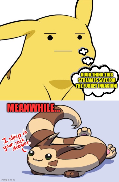Furret is coming! | GOOD THING THIS STREAM IS SAFE FOR THE FURRET INVASION! MEANWHILE... | image tagged in pikachu is not amused,furret,invasion,pokemon | made w/ Imgflip meme maker