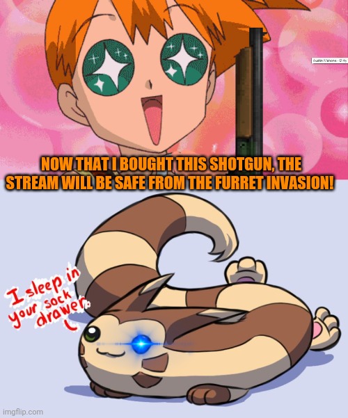 They're already in the house! | NOW THAT I BOUGHT THIS SHOTGUN, THE STREAM WILL BE SAFE FROM THE FURRET INVASION! | image tagged in super excited misty anime sparkle eyes,furret,invasion,anime,pokemon | made w/ Imgflip meme maker