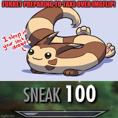 Sneaky furret | FURRET PREPARING TO TAKE OVER IMGFLIP! | image tagged in sneak 100,furret,pokemon,anime | made w/ Imgflip meme maker