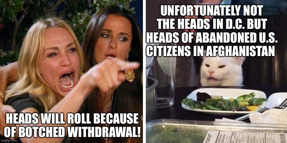 Heads Will Roll Because of Botched Afghanistan Withdrawal! | UNFORTUNATELY NOT THE HEADS IN D.C. BUT HEADS OF ABANDONED U.S. CITIZENS IN AFGHANISTAN; HEADS WILL ROLL BECAUSE OF BOTCHED WITHDRAWAL! | image tagged in smudge the cat,political meme,hold biden accountable,afghostan botched withdrawal | made w/ Imgflip meme maker