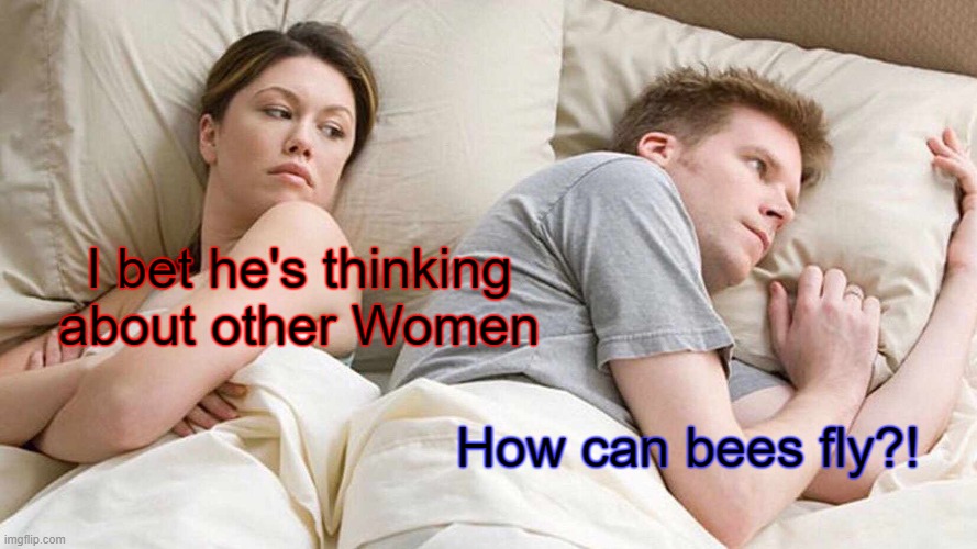 I Bet He's Thinking About Other Women | I bet he's thinking about other Women; How can bees fly?! | image tagged in memes,i bet he's thinking about other women | made w/ Imgflip meme maker