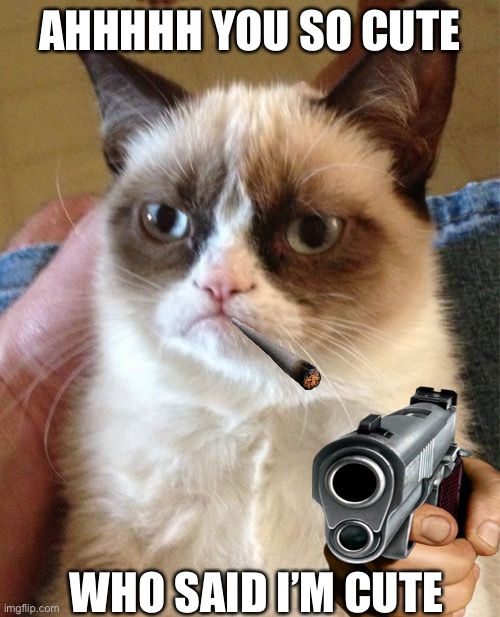 Grumpy Cat | AHHHHH YOU SO CUTE; WHO SAID I’M CUTE | image tagged in memes,grumpy cat | made w/ Imgflip meme maker