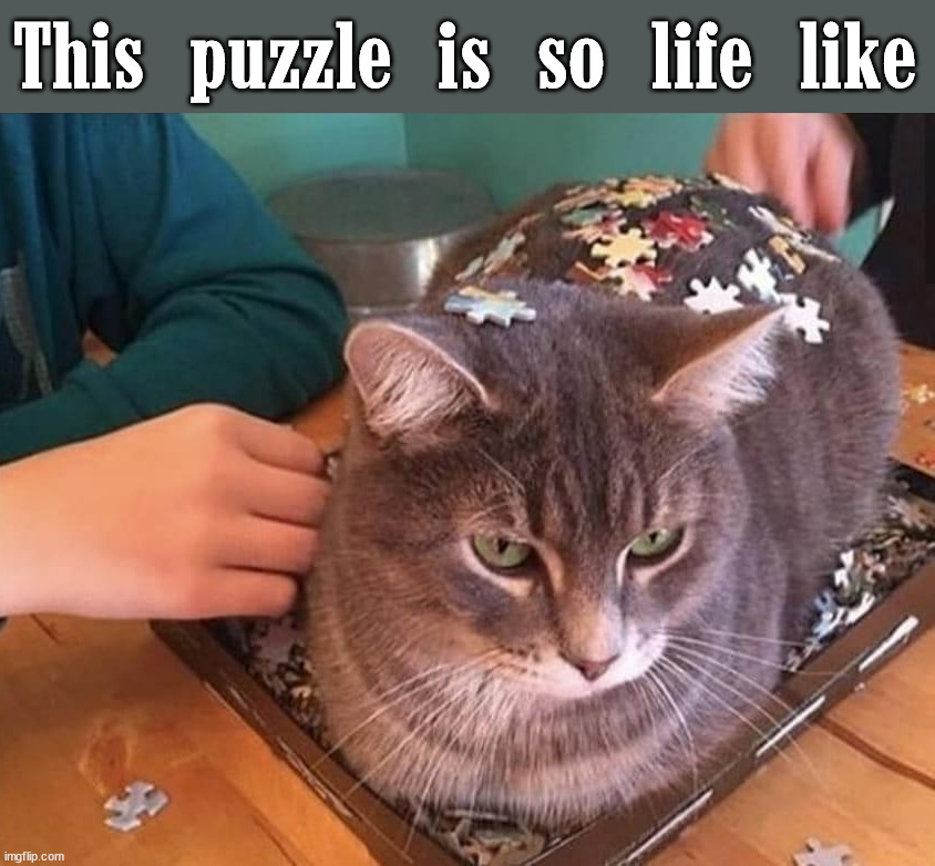 Cat sits | This puzzle is so life like | image tagged in cats | made w/ Imgflip meme maker