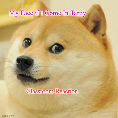 Doge | My Face if I Come In Tardy; Classroom Reaction | image tagged in memes,doge | made w/ Imgflip meme maker