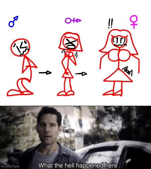 image tagged in what the hell happened here | made w/ Imgflip meme maker