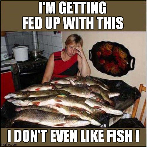 Fishy Frustration ! | I'M GETTING FED UP WITH THIS; I DON'T EVEN LIKE FISH ! | image tagged in fish,frustration,dislike | made w/ Imgflip meme maker