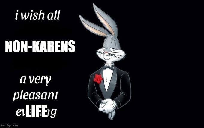 I wish all the X a very pleasant evening | NON-KARENS; LIFE | image tagged in i wish all the x a very pleasant evening | made w/ Imgflip meme maker