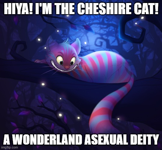 We're all queer here. | HIYA! I'M THE CHESHIRE CAT! A WONDERLAND ASEXUAL DEITY | image tagged in alice in wonderland,cheshire cat,memes,deities,ace,furry | made w/ Imgflip meme maker