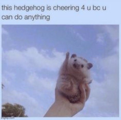 made w/ Imgflip meme maker