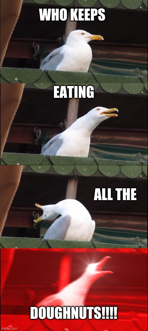 Inhaling Seagull | WHO KEEPS; EATING; ALL THE; DOUGHNUTS!!!! | image tagged in memes,inhaling seagull | made w/ Imgflip meme maker